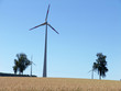 windenergie