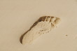 fußabdruck im sand fußabdruck im sand
