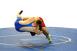 wrestling
