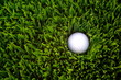 golf ball