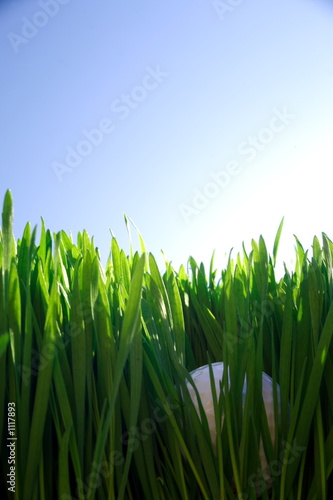golf ball