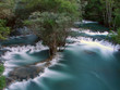 perfect nature perfect nature