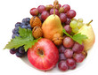 fruits d'automne fruits d'automne