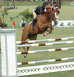 show horse jumping a barrier