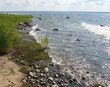estonia baltic