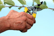 gartenarbeit