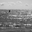 bather