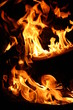 buches en feu