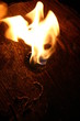 feu de buches