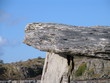 Photo: dolmen #3 dolmen #3