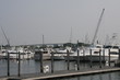 boats