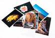 photographs
