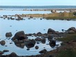 lahemaa, steinige flachküste