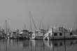 black and white boat on the water