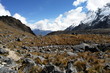 nevado salkantay nevado salkantay