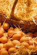 oeufs frais du marché