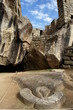 condor dans machu picchu condor dans machu picchu