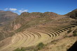 ruines incas de pisac