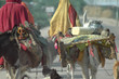 anes en inde