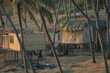 goa plage detail
