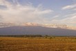 kilimanjaro