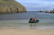 zodiak at the beach zodiak at the beach