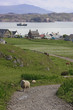 countryside in iona.