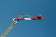 grue