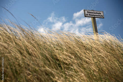 nordsee-dünen