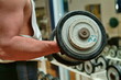 biceps 1
