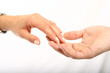 fingerspitzengefühle