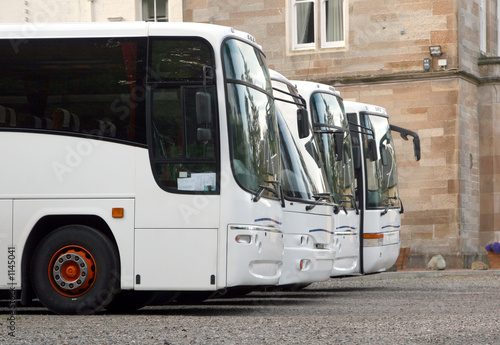 buses