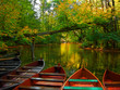 boats on the river