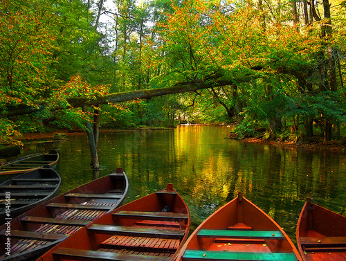 boats on the river