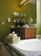 classy bathroom