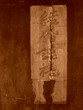 antique chinese writing on a wall