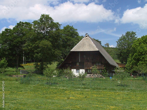 black forest farm, bauernhof im schwarzwald