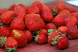 erdbeeren erdbeeren