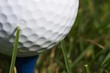 golf ball