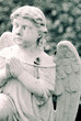 angel praying