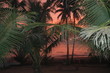 couche soleil goa