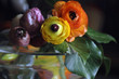 gros plan fleurs