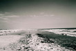 rocky coast