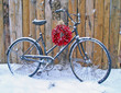 chillie peppers and a bike 2