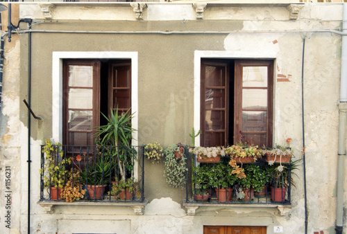 Photo: windows windows