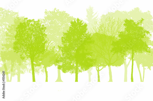 Photo: arbres arbres