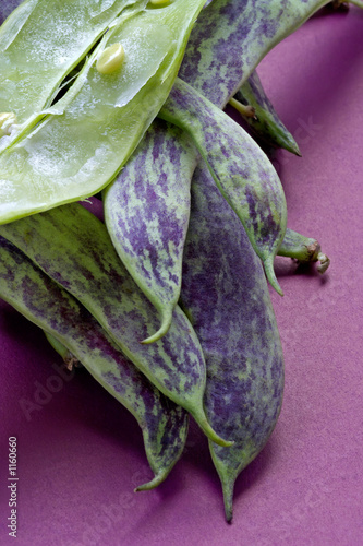 Photo: big green bean-pods big green bean-pods