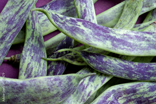 Photo: big green bean-pods big green bean-pods