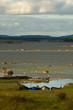 barques irlandaises