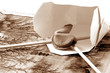 take out fortune v sepia